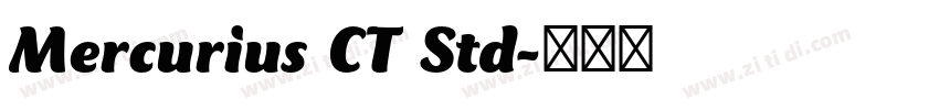 Mercurius CT Std字体转换